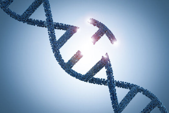 Using CRISPR to Store Data in DNA
