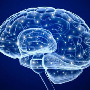 Brain Implant Improves Memory