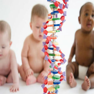 Brave New World: CRISPR Babies